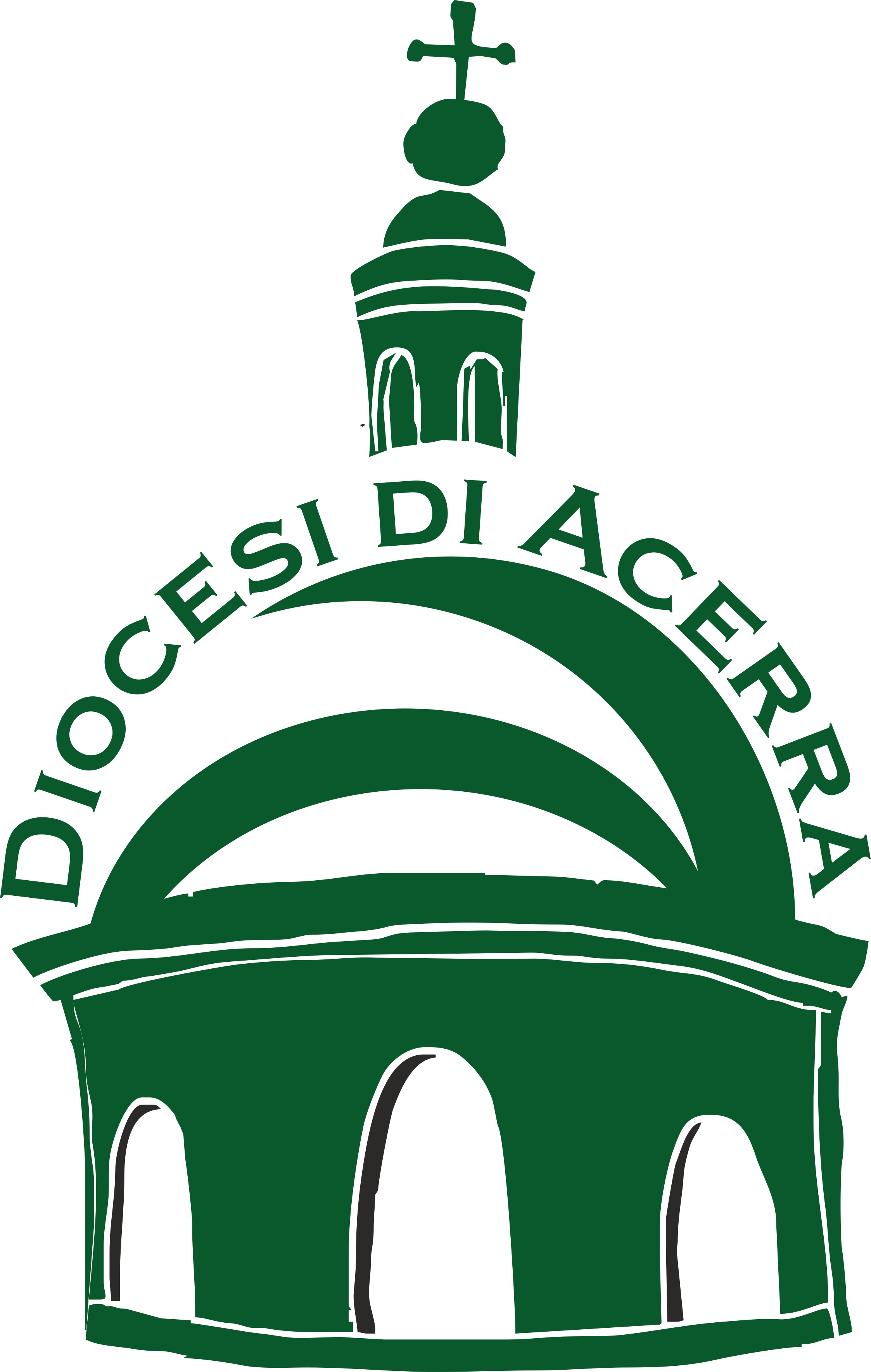 Logodiocesi diocesi di acerra